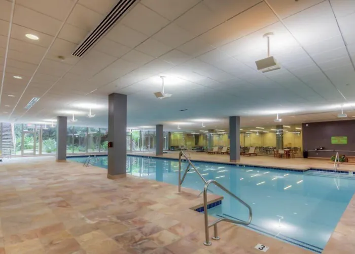 Optima Vista *